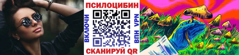 МЕГА ССЫЛКА  Норильск  Псилоцибиновые грибы прущие грибы 